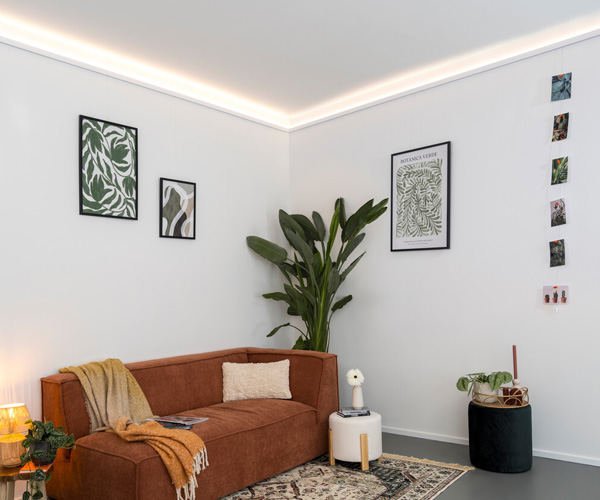 Cozy living room corner with a brown sofa, throw blanket, and beige pillow, plus framed botanical art on white walls and a tall plant.